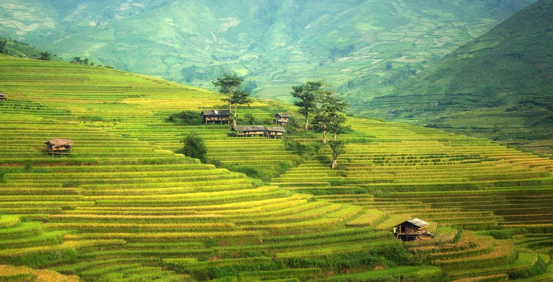 専門医の診察を受ける時期